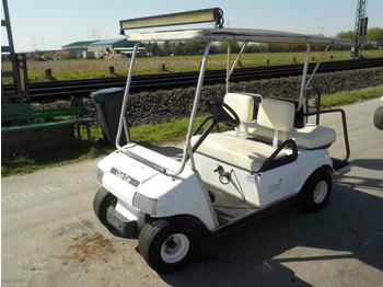 Αμαξίδιo του γκολφ 2009 Club Car Electric Golf Cart, Charger: φωτογραφία 1