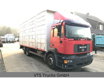 Φορτηγό μεταφορά ζώων MAN FE 360 4.Stock KABA Viehtransporter: φωτογραφία 3