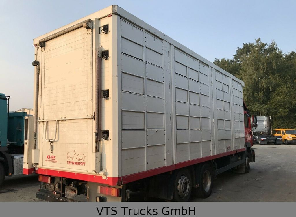 Φορτηγό μεταφορά ζώων MAN FE 360 4.Stock KABA Viehtransporter: φωτογραφία 4