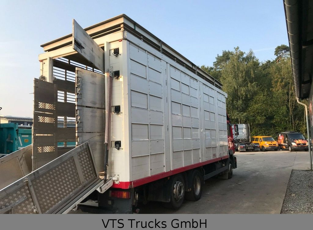 Φορτηγό μεταφορά ζώων MAN FE 360 4.Stock KABA Viehtransporter: φωτογραφία 15