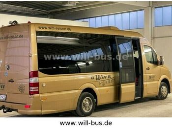 Μικρό λεωφορείο, Επιβατικό βαν Mercedes-Benz 516 Sprinter LIFT KLIMA Mobiliy Touristik  RAMPE: φωτογραφία 1