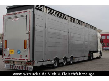 Pezzaioli SBA31-SR  3 Stock "Neu" Vermietung  - Επικαθήμενο μεταφορά ζώων