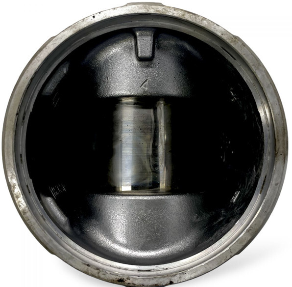 Κινητήρας και ανταλλακτικά Renault Midlum (01.00-): φωτογραφία 2