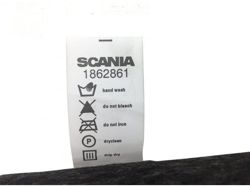 Καμπίνα και εσωτερικό Scania R-series (01.04-): φωτογραφία 3