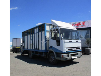Φορτηγό μεταφορά ζώων IVECO EuroCargo 80E