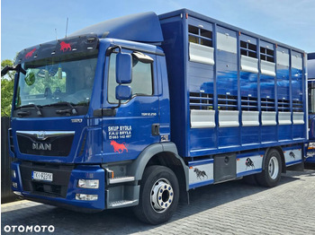 Φορτηγό μεταφορά ζώων MAN TGM 15.250