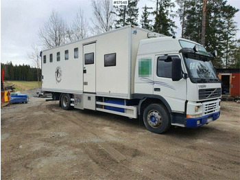 Φορτηγό μεταφορά ζώων VOLVO FM7