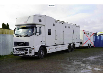 Φορτηγό μεταφοράς αλόγων Volvo FH 400 6*2 Horse transport with room for 9 horses: φωτογραφία 2