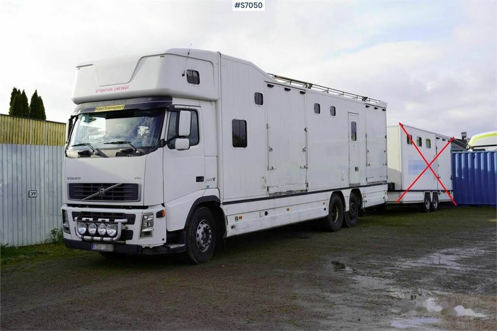 Φορτηγό μεταφοράς αλόγων Volvo FH 400 6*2 Horse transport with room for 9 horses: φωτογραφία 2