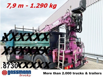 Γερανός παπαγάλος