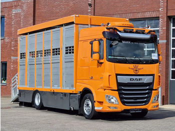 Φορτηγό μεταφορά ζώων DAF XF 530