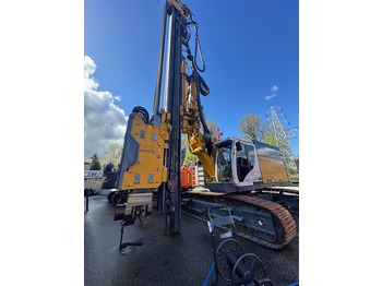 Πασσαλοπήκτης