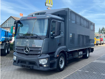 Φορτηγό κόφα MERCEDES-BENZ Antos 1830
