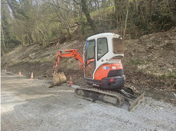 Μίνι εκσκαφέας KUBOTA U 25: φωτογραφία 3