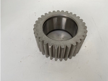 : φωτογραφία κεφαλίδας