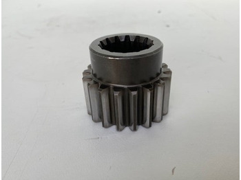 : φωτογραφία κεφαλίδας