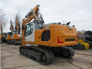 Ερπυστριοφόρος εκσκαφέας 2023 Liebherr R 924 LC Litronic G8.0-D: φωτογραφία 3