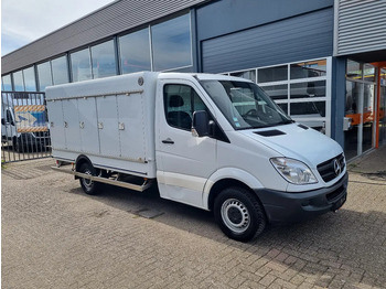 Επαγγελματικό αυτοκίνητο ψυγείο MERCEDES-BENZ Sprinter 313
