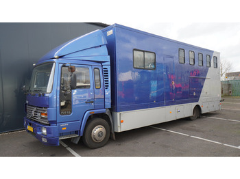 Φορτηγό μεταφοράς αλόγων Volvo FL 6-9 HORSE TRANSPORT 341.000KM MANUAL GEARBOX: φωτογραφία 3