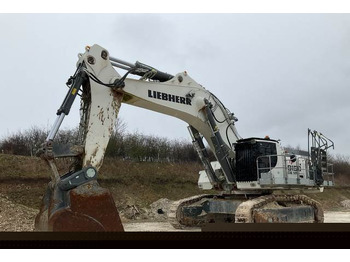 Ερπυστριοφόρος εκσκαφέας LIEBHERR