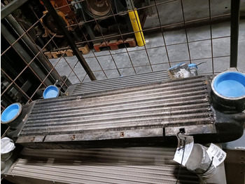 Ενδιάμεσος ψύκτης LIEBHERR