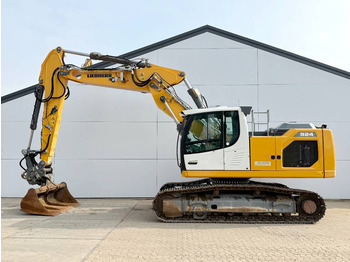 Ερπυστριοφόρος εκσκαφέας LIEBHERR R 924