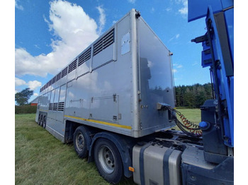 Επικαθήμενο μεταφορά ζώων Gray and Adams Gadd3 / Works Great / Hydraulic / 2 Levels: φωτογραφία 4 Επικαθήμενο μεταφορά ζώων Gray and Adams Gadd3 / Works Great / Hydraulic / 2 Levels: φωτογραφία 4