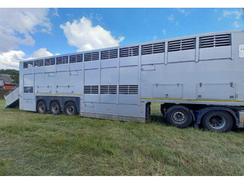 Επικαθήμενο μεταφορά ζώων Gray and Adams Gadd3 / Works Great / Hydraulic / 2 Levels: φωτογραφία 3 Επικαθήμενο μεταφορά ζώων Gray and Adams Gadd3 / Works Great / Hydraulic / 2 Levels: φωτογραφία 3