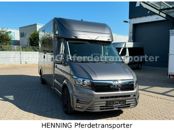 Φορτηγό μεταφορά ζώων MAN TGE 3 - Sitzer *KLIMA PFERDEABTEIL*: φωτογραφία 2
