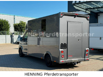 Φορτηγό μεταφορά ζώων MAN TGE 3 - Sitzer *KLIMA PFERDEABTEIL*: φωτογραφία 3