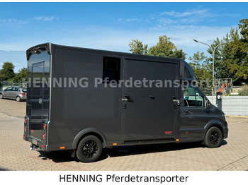 Φορτηγό μεταφορά ζώων MAN TGE 3 - Sitzer *KLIMA PFERDEABTEIL*: φωτογραφία 5