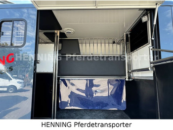 Φορτηγό μεταφοράς αλόγων Opel Movano 3 - Sitzer *AUFBAU NEU*: φωτογραφία 4 Φορτηγό μεταφοράς αλόγων Opel Movano 3 - Sitzer *AUFBAU NEU*: φωτογραφία 4