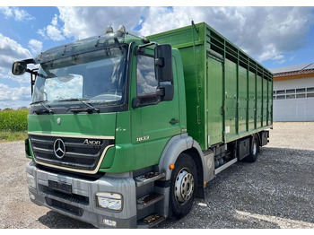 Φορτηγό μεταφορά ζώων MERCEDES-BENZ Axor 1833