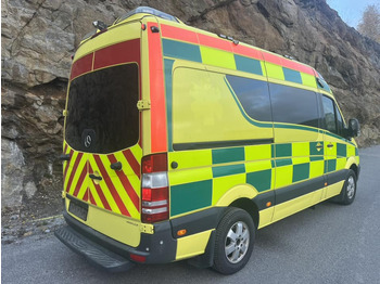 Leasing Mercedes-Benz Sprinter 319 - AMBULANCE / Krankenwagen Mercedes-Benz Sprinter 319 - AMBULANCE / Krankenwagen: φωτογραφία 4