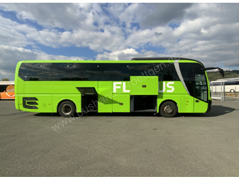 Πούλμαν MAN R07 Lions Coach: φωτογραφία 5