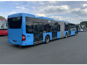 Leasing Mercedes-Benz Conecto G Mercedes-Benz Conecto G: φωτογραφία 3 Leasing Mercedes-Benz Conecto G Mercedes-Benz Conecto G: φωτογραφία 3