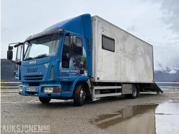 Φορτηγό μεταφορά ζώων IVECO EuroCargo