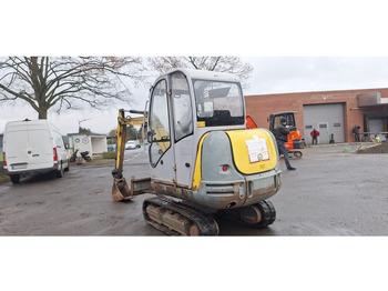 Τροχοφόρος εκσκαφέας WACKER NEUSON Wacker Neuson 2503-WD Radbagger: φωτογραφία 4