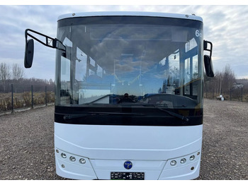 Leasing  Temsa Tourmalin Temsa Tourmalin: φωτογραφία 2