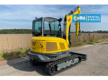 Καινούριο Μίνι εκσκαφέας WACKER NEUSON ET42 | 2022: φωτογραφία 3 Καινούριο Μίνι εκσκαφέας WACKER NEUSON ET42 | 2022: φωτογραφία 3