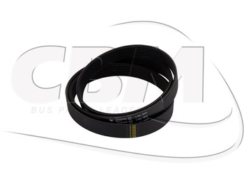 : φωτογραφία κεφαλίδας