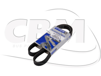 Ιμάντας IRISBUS