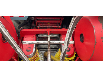 Leasing MENGELE TRINCIA SF 6000 MENGELE TRINCIA SF 6000: φωτογραφία 5