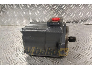 Υδραυλική αντλία για Κατασκευή μηχανήματα Hanomag 60E: φωτογραφία 2