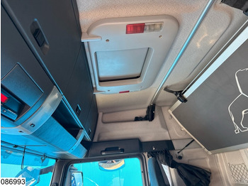 Τράκτορας MAN TGX 18 480 EURO 6: φωτογραφία 5