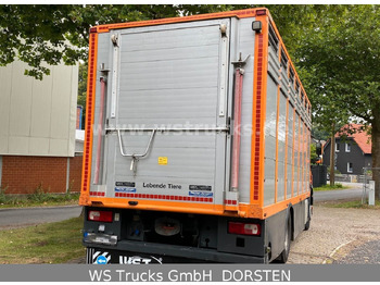 Φορτηγό μεταφοράς αλόγων DAF CF 400 Menke Einstock: φωτογραφία 3