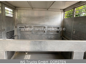 Φορτηγό μεταφοράς αλόγων DAF CF 400 Menke Einstock: φωτογραφία 5