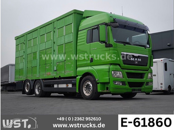 Φορτηγό μεταφοράς αλόγων MAN TGX 26.480