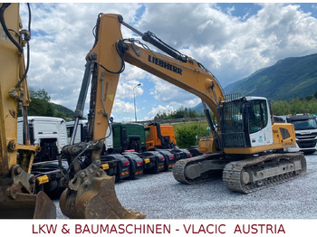 Leasing Liebherr R 924 LC Liebherr R 924 LC: φωτογραφία 1 Leasing Liebherr R 924 LC Liebherr R 924 LC: φωτογραφία 1
