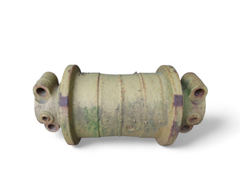 Ερπύστριες - Ράουλα HITACHI